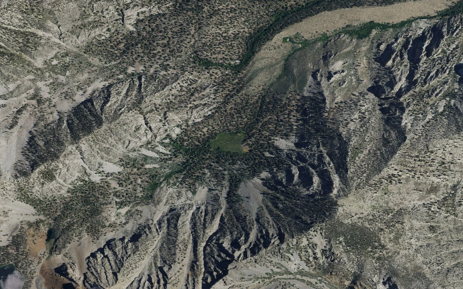 Aerial view centered on Sawmill Meadows