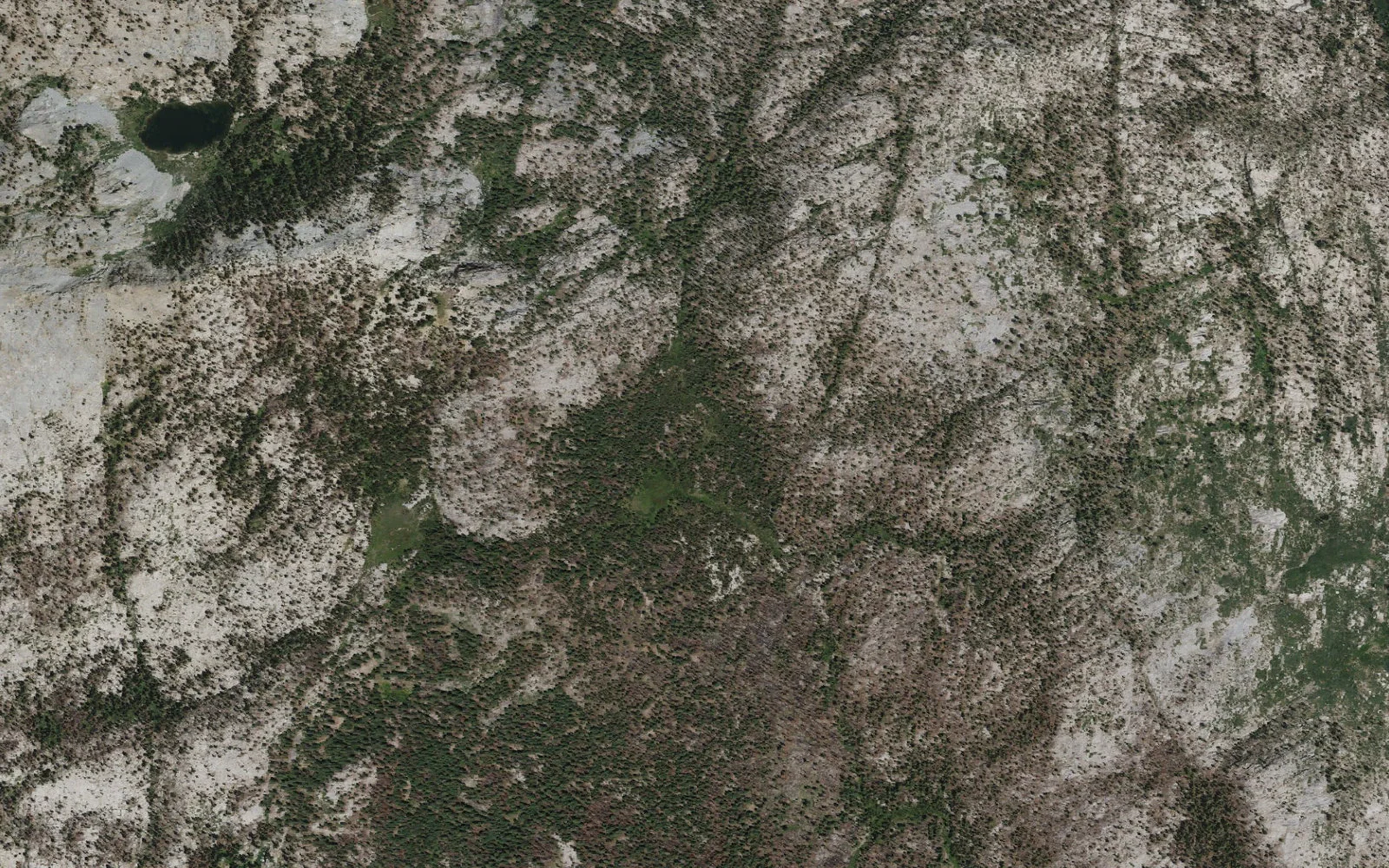 Aerial view centered on Summit Meadow