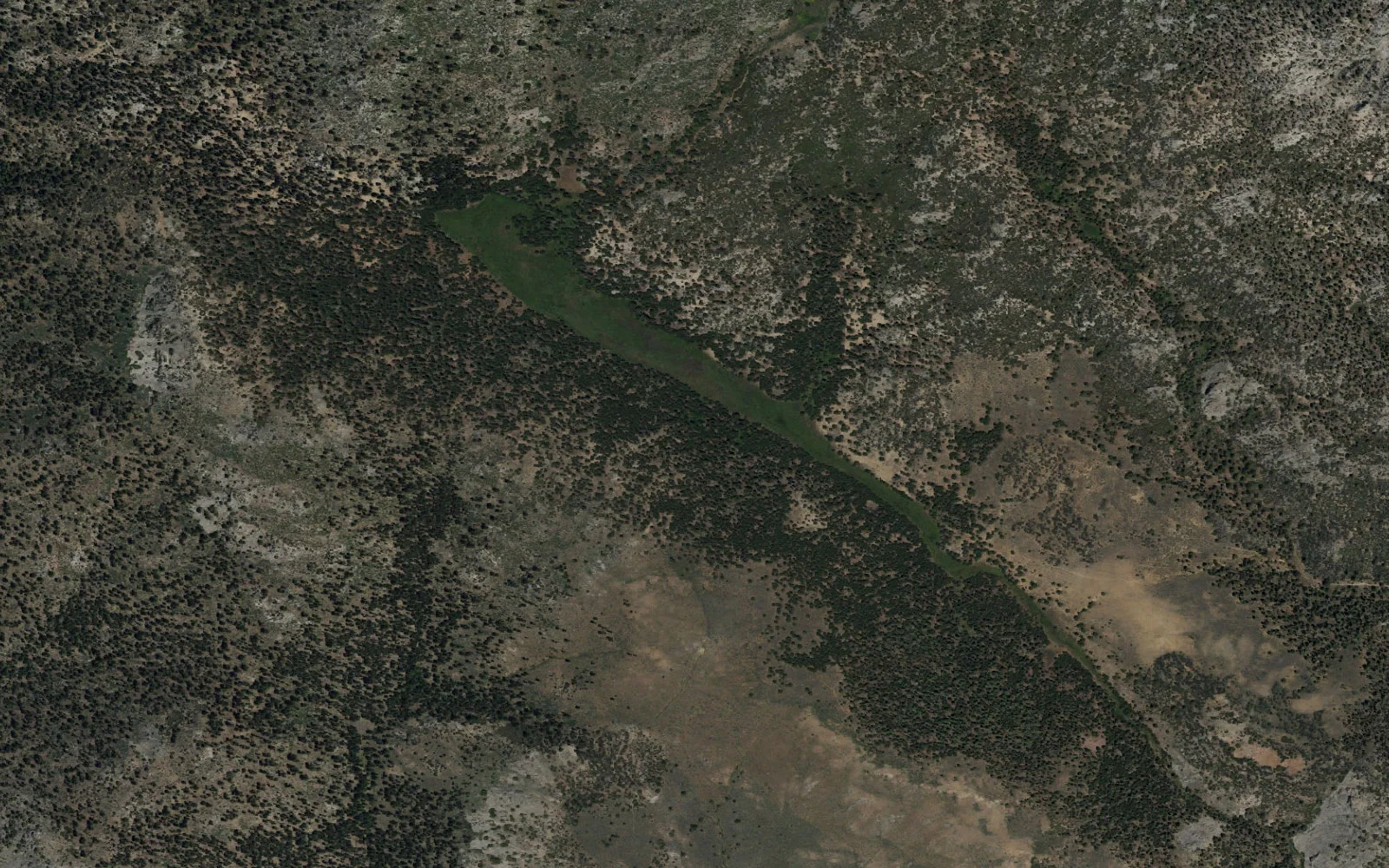 Aerial view centered on Summit Meadow