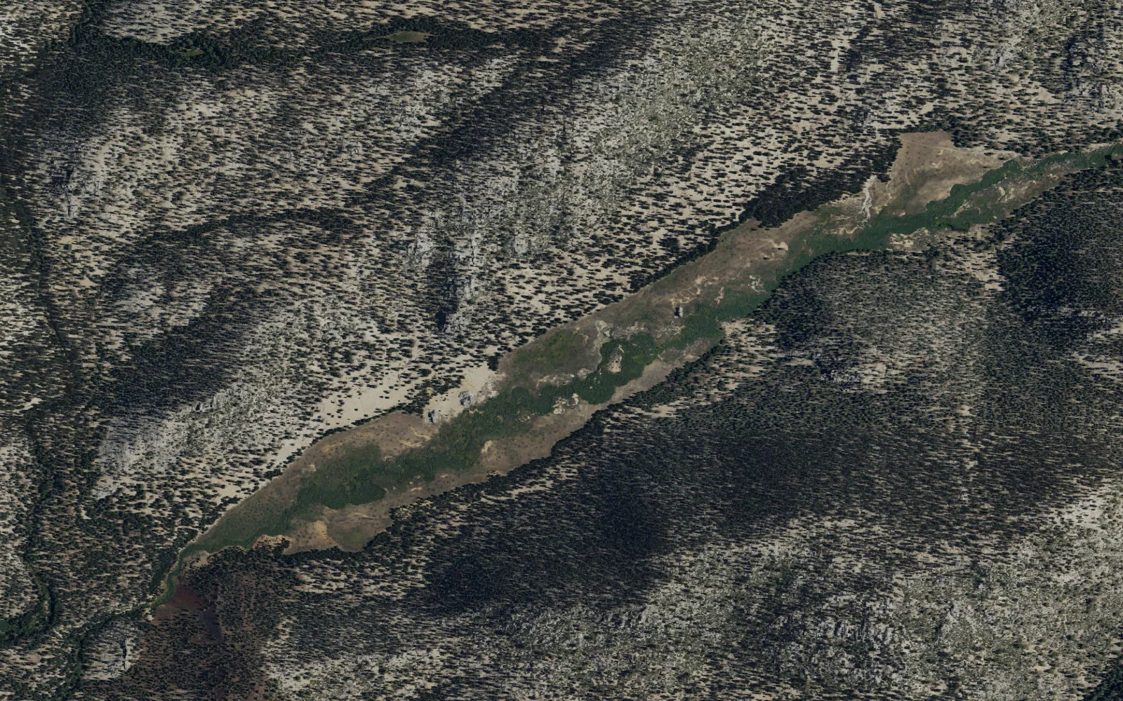 Aerial view centered on Tunnel Meadow