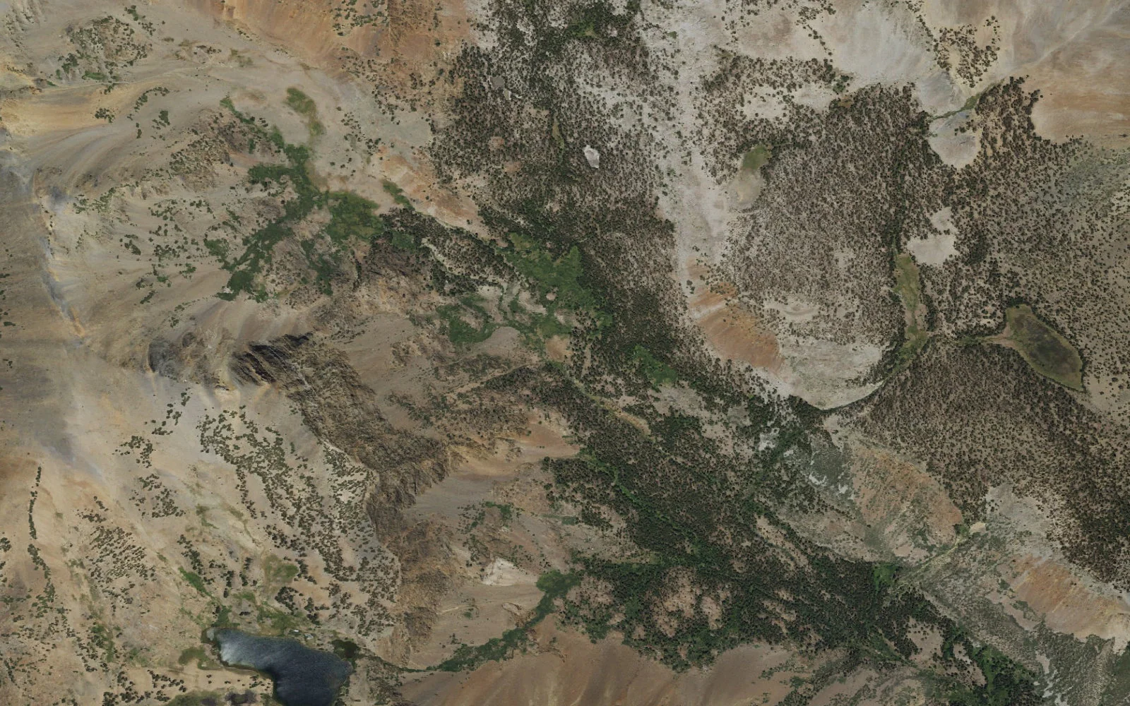 Aerial view centered on Warren Fork upper corridor