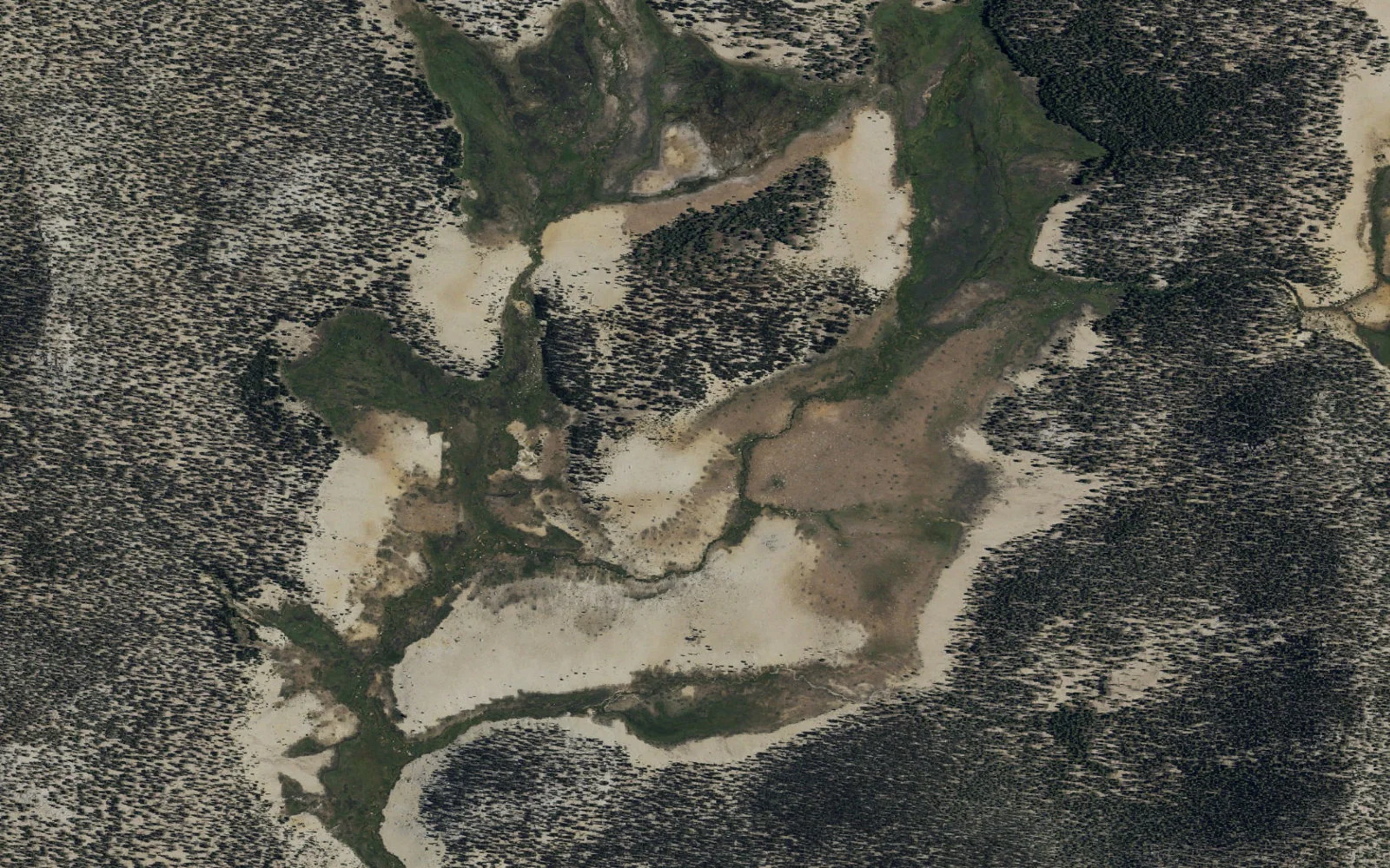 Aerial view centered on Whitney Meadow