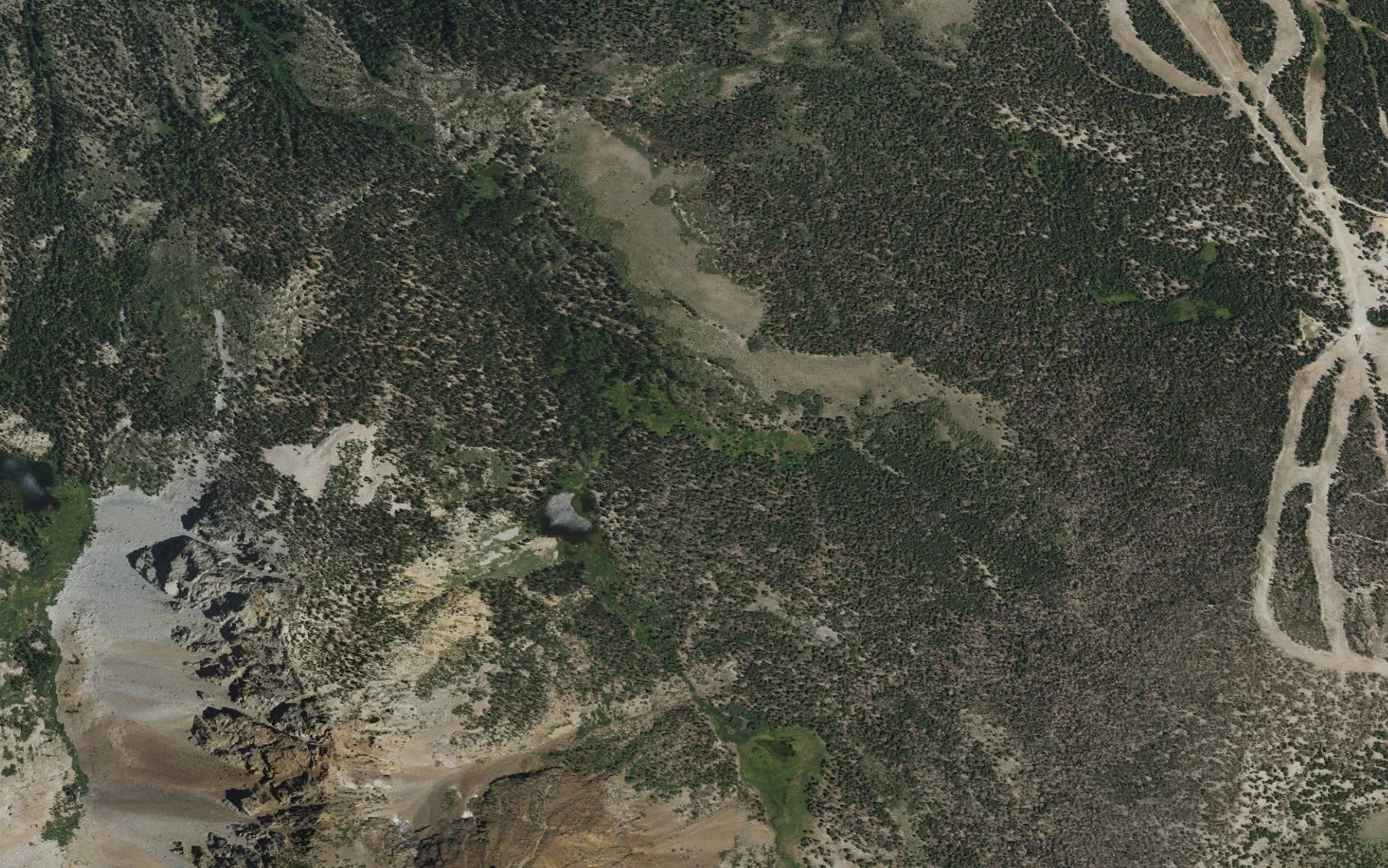 Aerial view centered on Yost Meadow