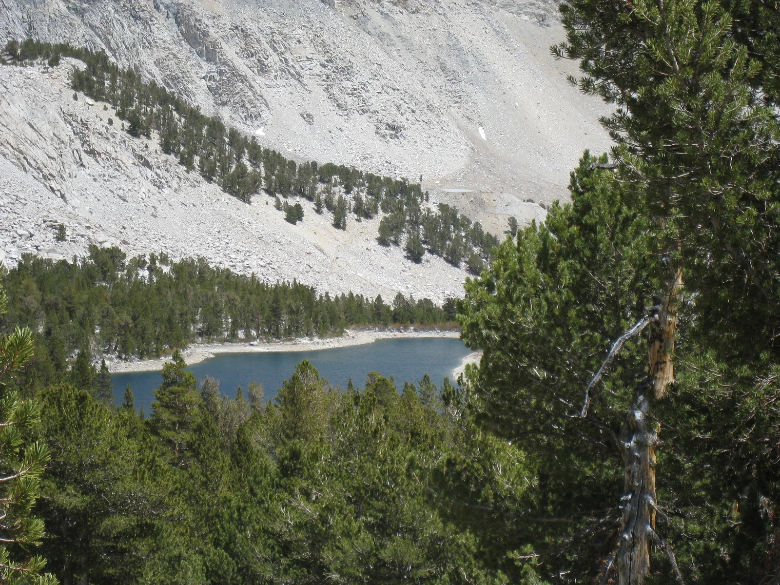 Lower Morgan Lake viewed from the Morgan Pass trail