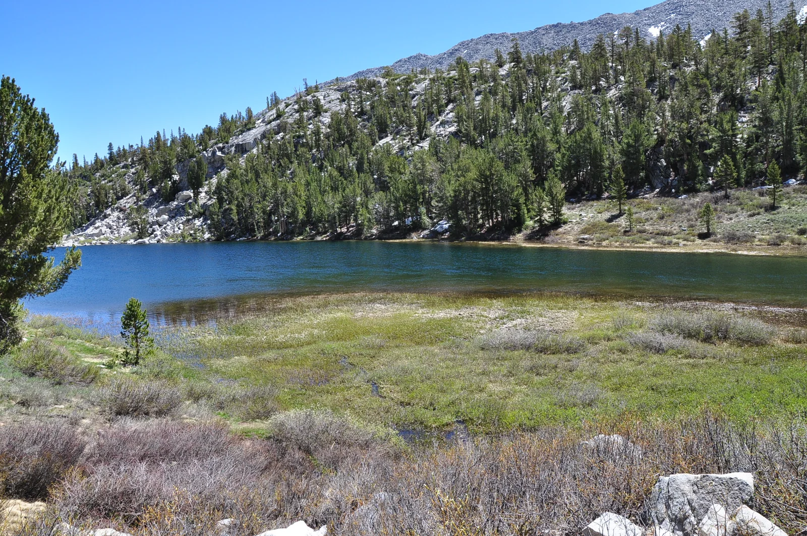 Marsh Lake and its alpine shoreline in Little Lakes Valley