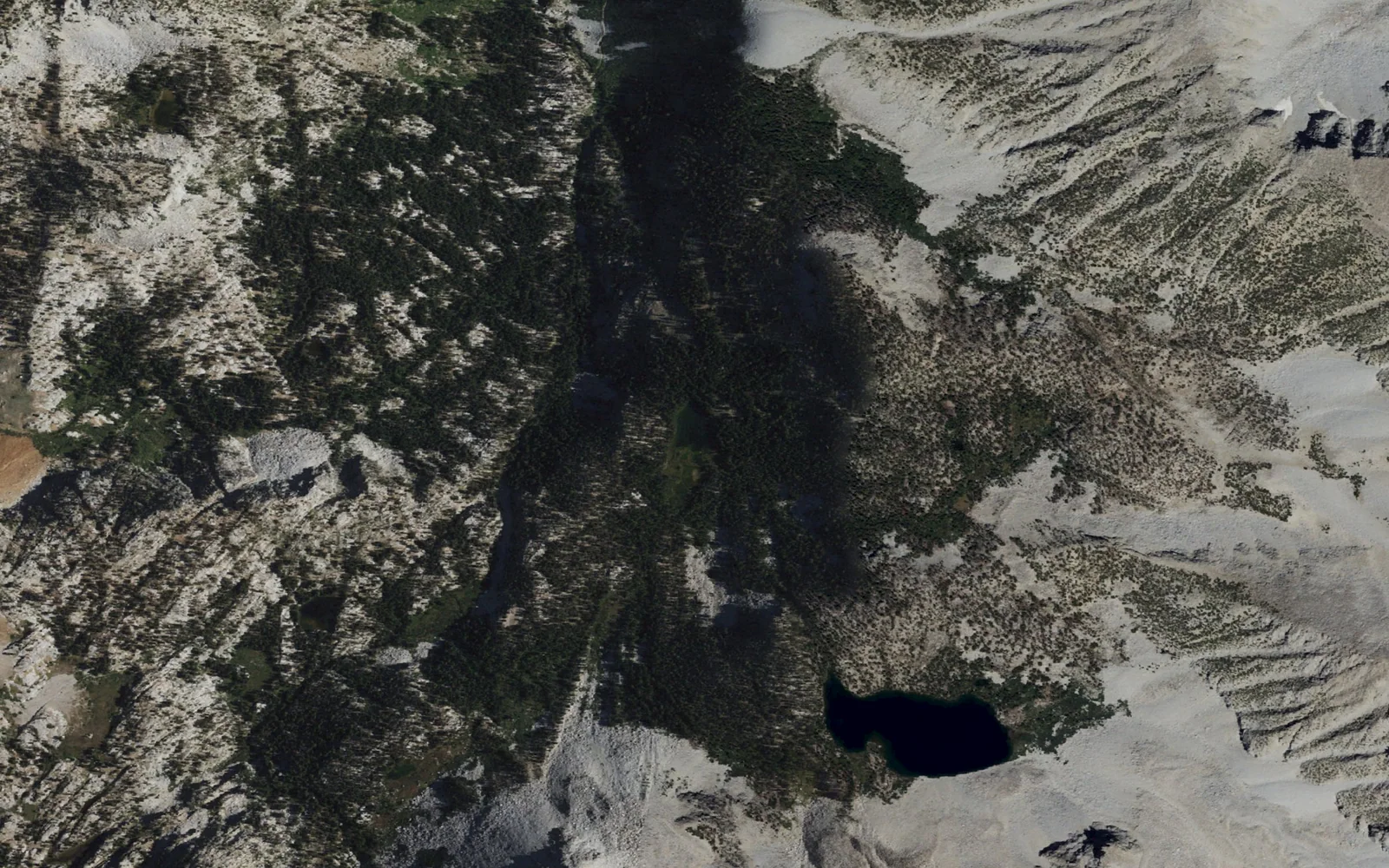 Aerial view centered on Grass Lake on the McGee Creek network