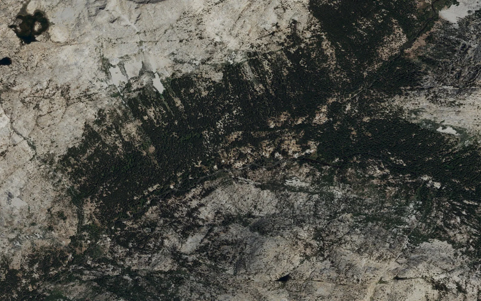 Aerial view centered on Hutchinson Meadow