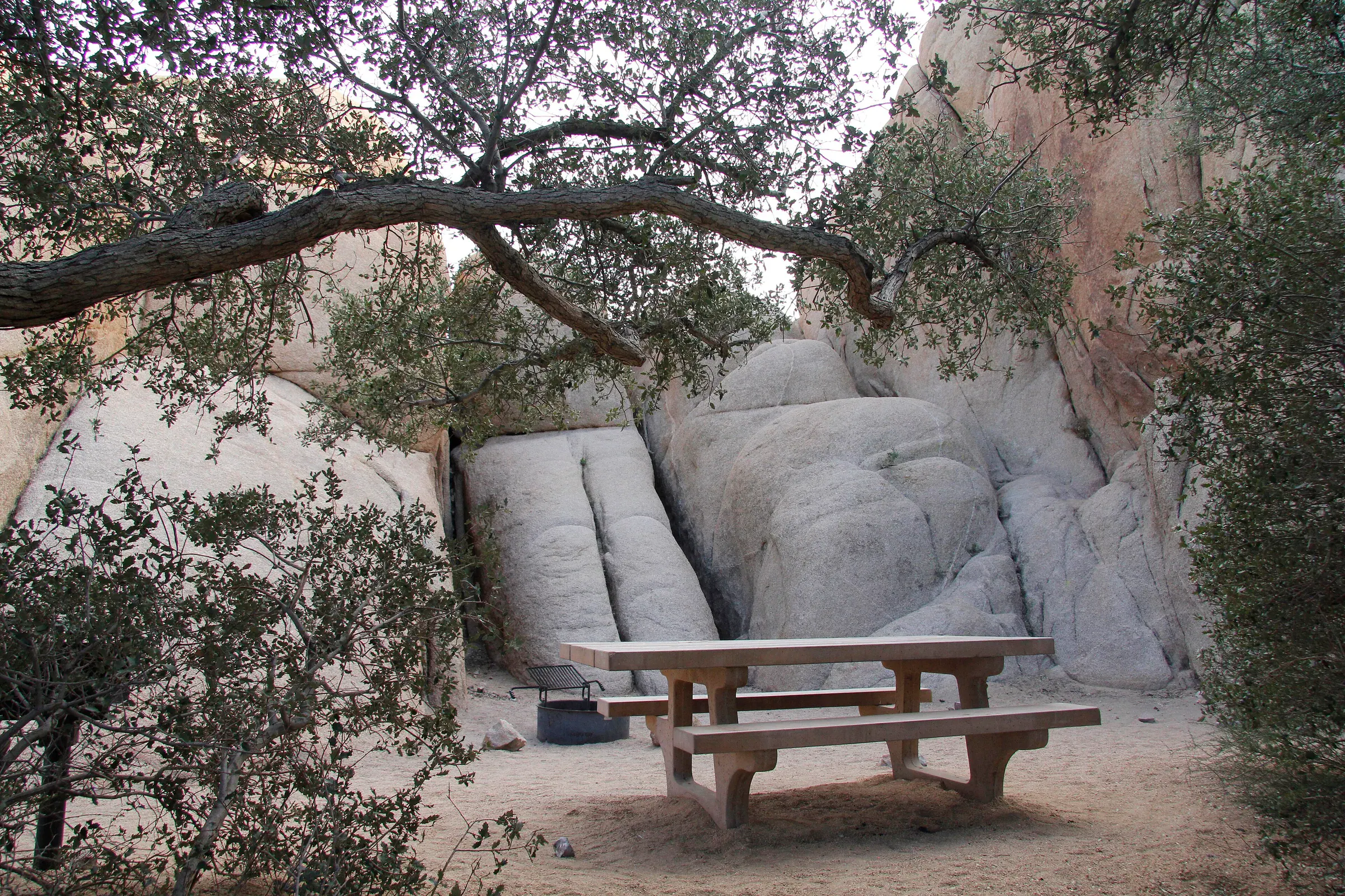 Jumbo Rocks Camp landscape